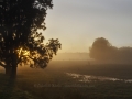 Princes Highway 1
