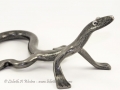 Goanna Style Lizard