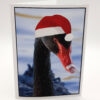 Waving Joey - Image 2
