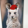 Waving Joey - Image 3