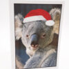 Waving Joey - Image 4